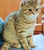 Amy Svg+xml,%3Csvg%20xmlns%3D%22http%3A%2F%2Fwww.w3